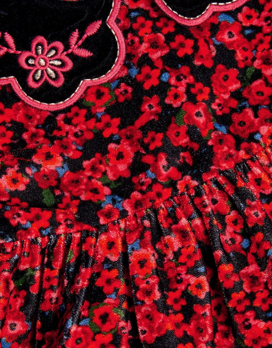 Baby ditsy floral velvet dress red