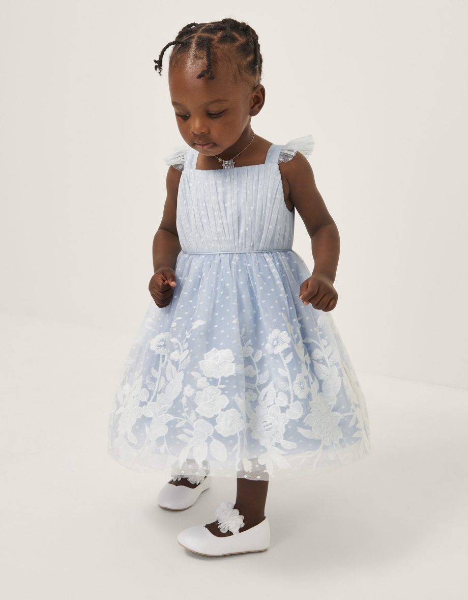 Baby abigail embroidered party dress blue