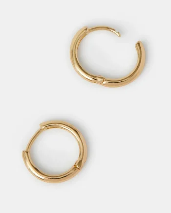 Small Hoop Earrings