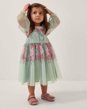 Baby Nadia Long Sleeve Rose Party Dress Green