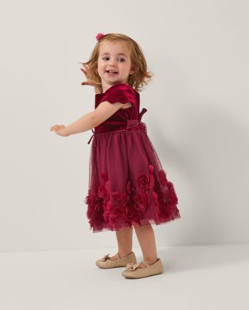 Baby estella velvet appliqué party dress red