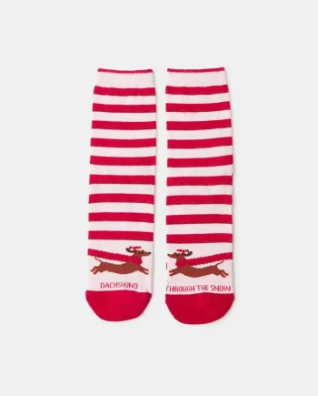 Stripy Dachshund Christmas Socks