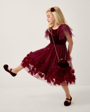 Eden Velvet Rose Appliqué Party Dress Red