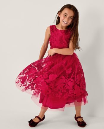 Alicia lace embroidered party dress red
