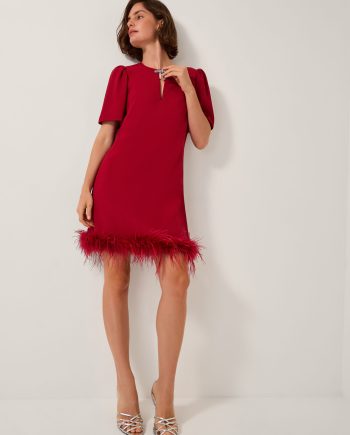 Arlette Feather Mini Dress Red