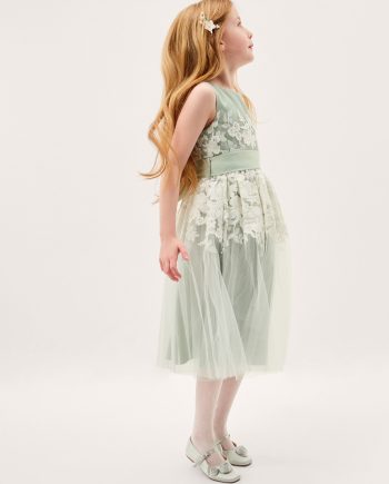 Felicity Floral Embroidered Mesh Dress Green