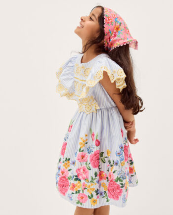 Floral Stripe Broderie Sleeve Dress Blue