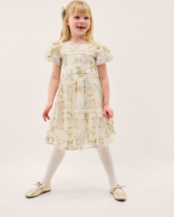 Azalea Ruffle Floral Embroidered Party Dress Multi